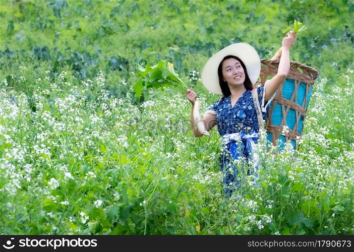 A Young farmer is happily picking organic radish fresh in garden. Organic farming.. Picking organic radishes.