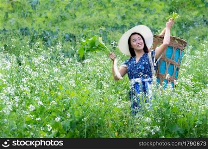 A Young farmer is happily picking organic radish fresh in garden. Organic farming.. Picking organic radishes.