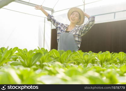 A young female farmer working in hydroponic greenhouse farm, clean food and healthy eating concept. Young female farmer working in hydroponic greenhouse farm, clean food and healthy eating concept