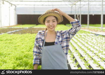 A young female farmer working in hydroponic greenhouse farm, clean food and healthy eating concept. Young female farmer working in hydroponic greenhouse farm, clean food and healthy eating concept