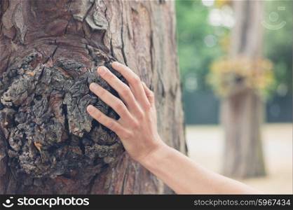 A young female hand is touching a tree in the forest