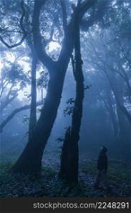 A young man in a raincoat jacket stands and looks at the ancient trees in a tropical forest in foggy. Exploration, environment concepts. Soft focus on a man.