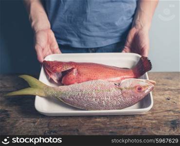 A young person is holding a tray at a table with two exotic fish in it