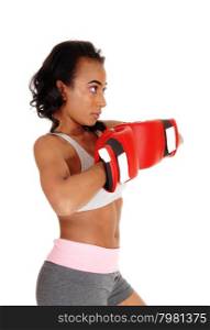 A young pretty African American woman in sportswear, wearing redboxing gloves, standing in closeup isolated for white background.