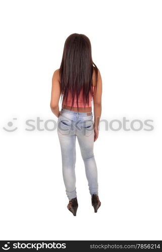 A young pretty woman standing from the back with her long brunette hair,isolated on white background.