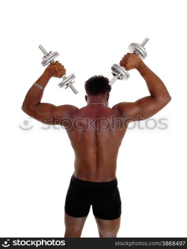 A young strong African American man standing from the back lifting uphis dumbbell&rsquo;s, isolated for white background.