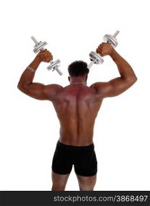 A young strong African American man standing from the back lifting uphis dumbbell&rsquo;s, isolated for white background.