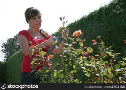 a young woman at work in your garden.
