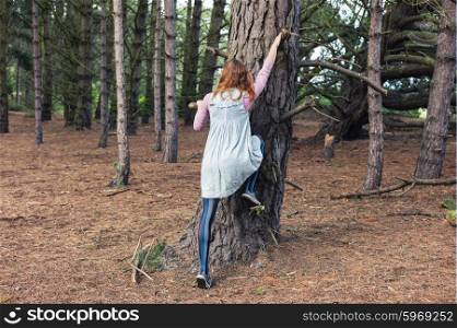 A young woman is climbing a tree in the forest