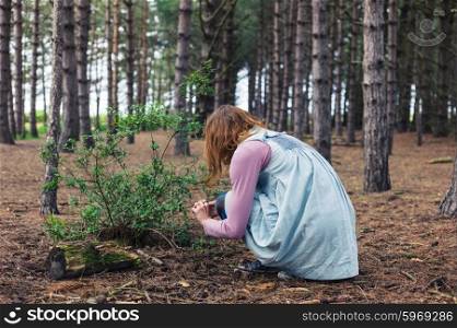 A young woman is foraging in the clearing of a forest