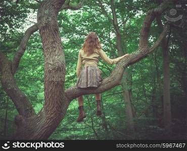 A young woman is sitting in a tree in the forest