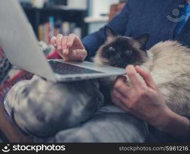 A young woman is using her laptop at home with a cat sitting on her lap