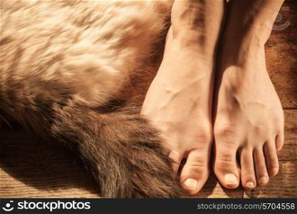 A young woman&rsquo;s naked feet with a cat sleeping next to them in the sunshine