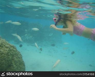 A young woman swimming underwater wearing scuba gear, Moorea, Tahiti, French Polynesia, South Pacific