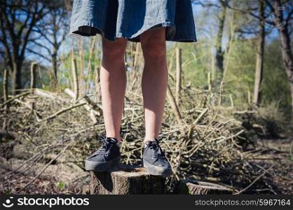 A young woman wearing a blue skirt is standing on a tree trunk in the forest on a sunny spring day