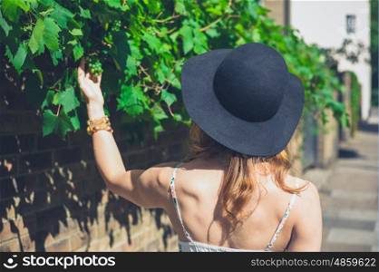 A young woman wearing a hat is picking grapes from a branch hanging from a wall in the street