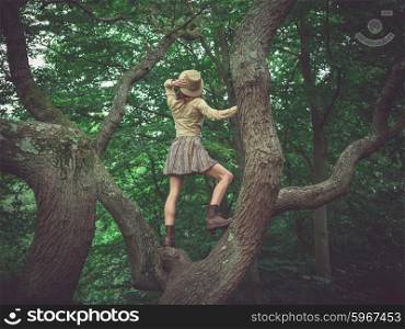 A young woman wearing a safari hat is climbing a tree in the forest