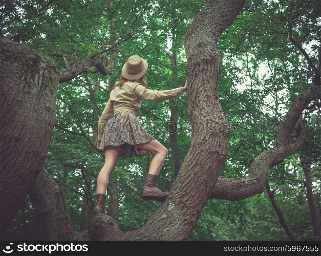 A young woman wearing a safari hat is climbing a tree in the forest