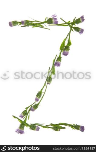 A Z Made Of Purple Flowers