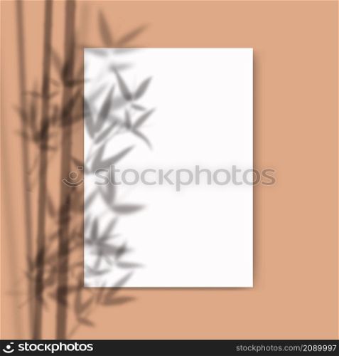 A4 paper mockup with overlay leaf shadow from window. Bamboo branch transparent reflection on pastel background. Realistic vector template for poster, flyer and post. A4 paper mockup with overlay leaf shadow from window. Bamboo branch transparent reflection on pastel background. Realistic vector template for poster, flyer and post.