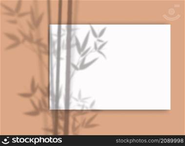 A4 paper mockup with overlay leaf shadow from window. Bamboo branch transparent reflection on pastel background. Realistic vector template for poster, flyer and post. A4 paper mockup with overlay leaf shadow from window. Bamboo branch transparent reflection on pastel background. Realistic vector template for poster, flyer and post.