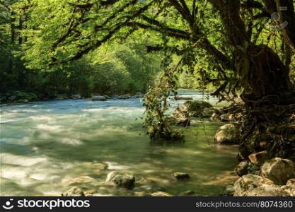 Aapsta mountain river, Abkhazia.