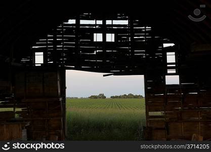 Abandoned barn in a prairie field, Manitoba, Canada