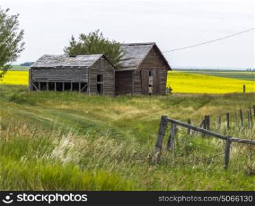 Abandoned barns at farm, Southern Alberta, Alberta, Canada