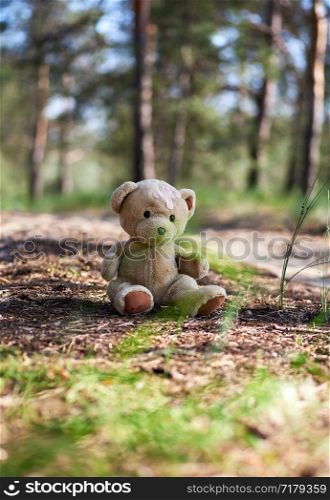 abandoned brown teddy bear sitting in the middle of the forest in the evening, concept of loneliness