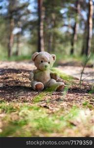 abandoned brown teddy bear sitting in the middle of the forest in the evening, concept of loneliness