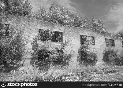 abandoned building in the forest.
