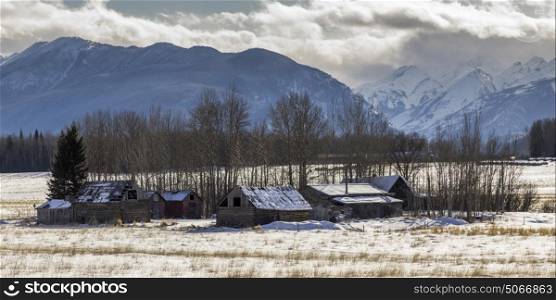 Abandoned Farmhouses in snow covered field, Highway 16, Yellowhead Highway, British Columbia, Canada