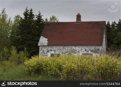 Abandoned house amidst trees, Ingonish, Cabot Trail, Cape Breton Island, Nova Scotia, Canada