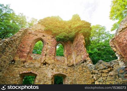 Abandoned place. Castle ruins in the green forest.