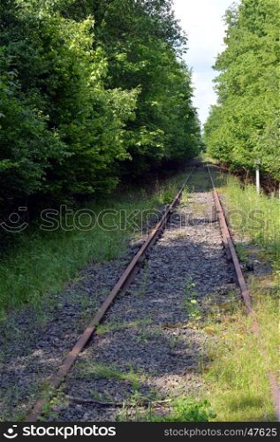 Abandoned railroad track taking off through the forest.