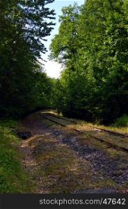 Abandoned railroad track taking off through the forest