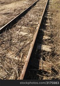 Abandoned railroad tracks.