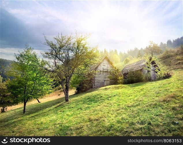 Abandoned wooden hut on green meadow under the sun. Abandoned wooden hut on green meadow