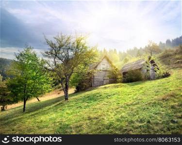 Abandoned wooden hut on green meadow under the sun. Abandoned wooden hut on green meadow