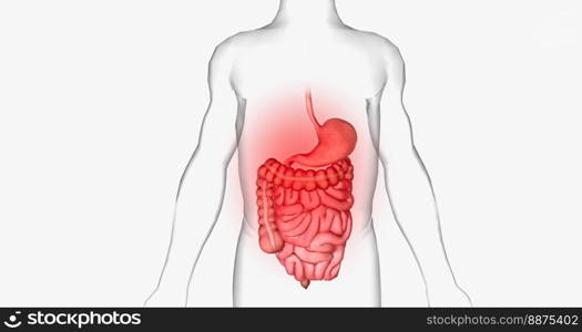 Abdominal pain is a common symptom that affects the digestive organs within the abdomen. 3D rendering. Abdominal pain is a common symptom that affects the digestive organs within the abdomen.
