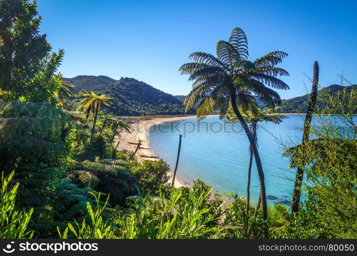 Abel Tasman National Park. White sand bay and turquoise sea. New Zealand. Abel Tasman National Park, New Zealand