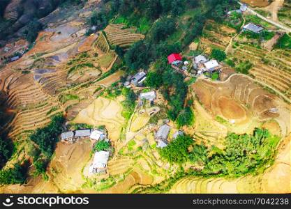 Above view of Tavan village and rice field terraced in valley at Sapa