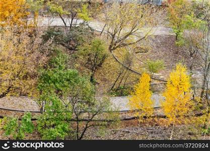 above view of walking paths in urban park in autumn