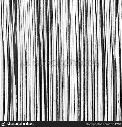 abstrac texture of a bamboo wall background in oman
