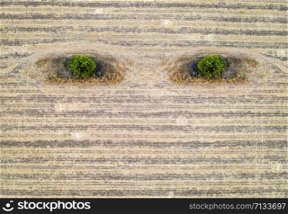 Abstract agriculture composition like earth eyes. Conceptual. Aerial View of harvested Field