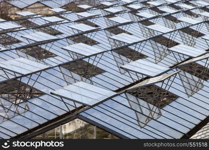 abstract architectural structure of glass and metal greenhouses in the netherlands