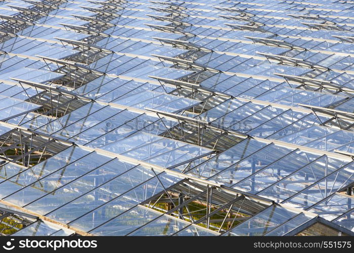 abstract architectural structure of glass and metal greenhouses in the netherlands