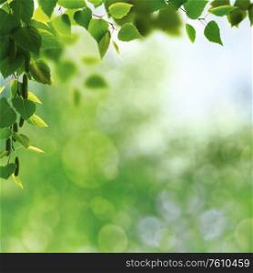 Abstract art backgrounds with green foliage