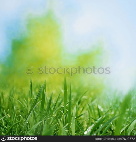 Abstract art backgrounds with green foliage