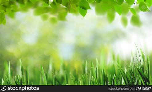 Abstract art backgrounds with green foliage. Environmental backgrounds